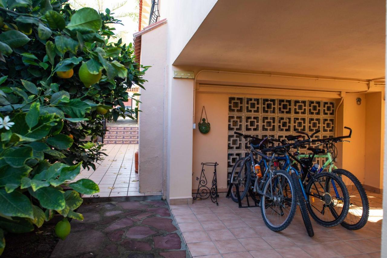 Villa Florit Flats - The Orange Lemon Tree House L'Eliana Exterior foto